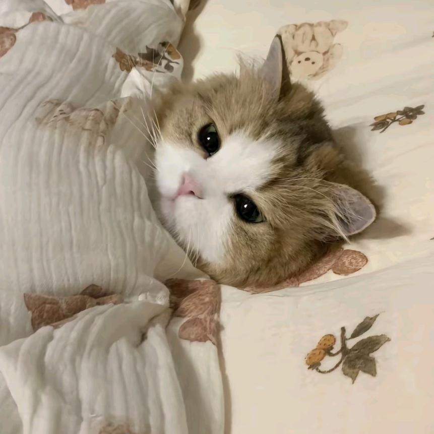 Myyyy
