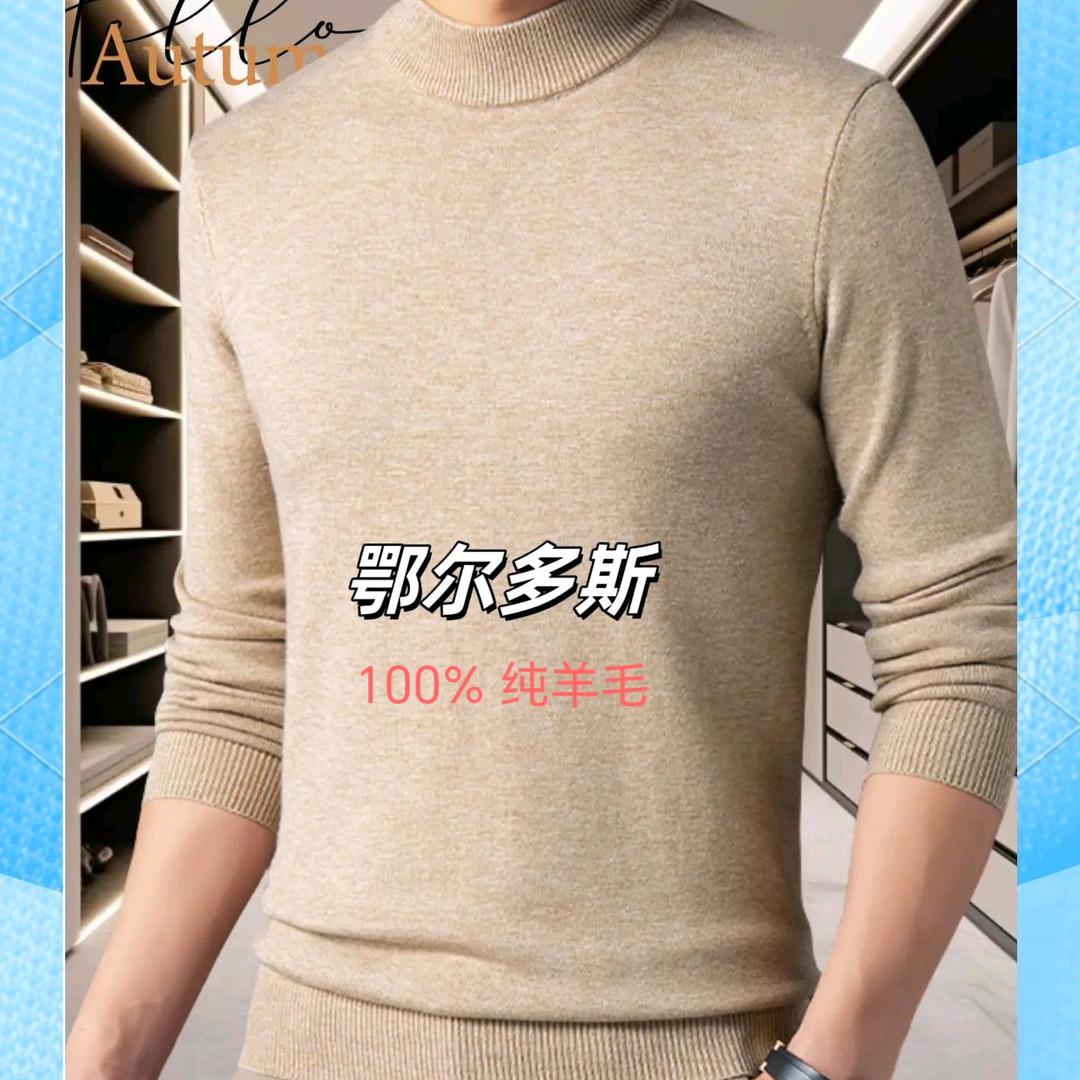 鄂尔多斯市羊毛衫（男装）