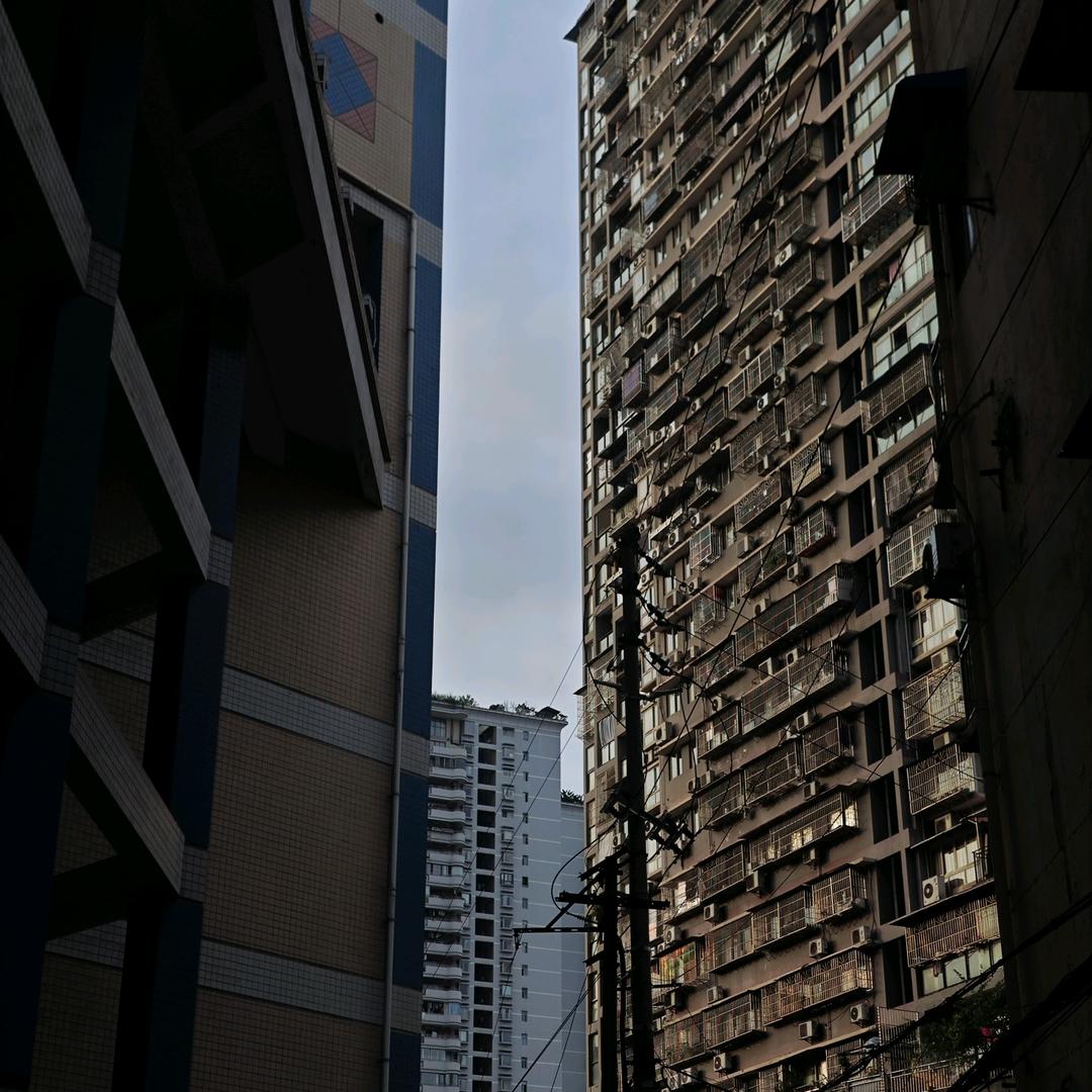 东君