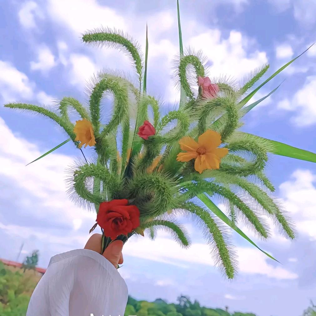 ღᩚ᭄乄ོ夵ꦿ࿐