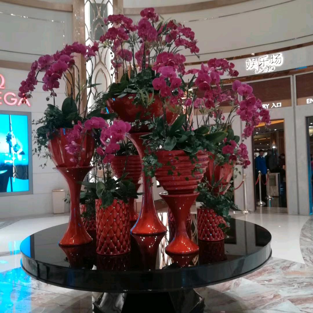 🌈🌸紫🌸荆🌸花🌸🌈