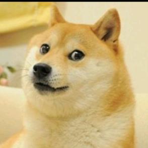 可以炫耀的资本是善良