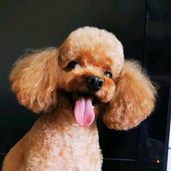 新朋友 ̩̩̥͙˚̩̥̩̥̩̩͙‧͙