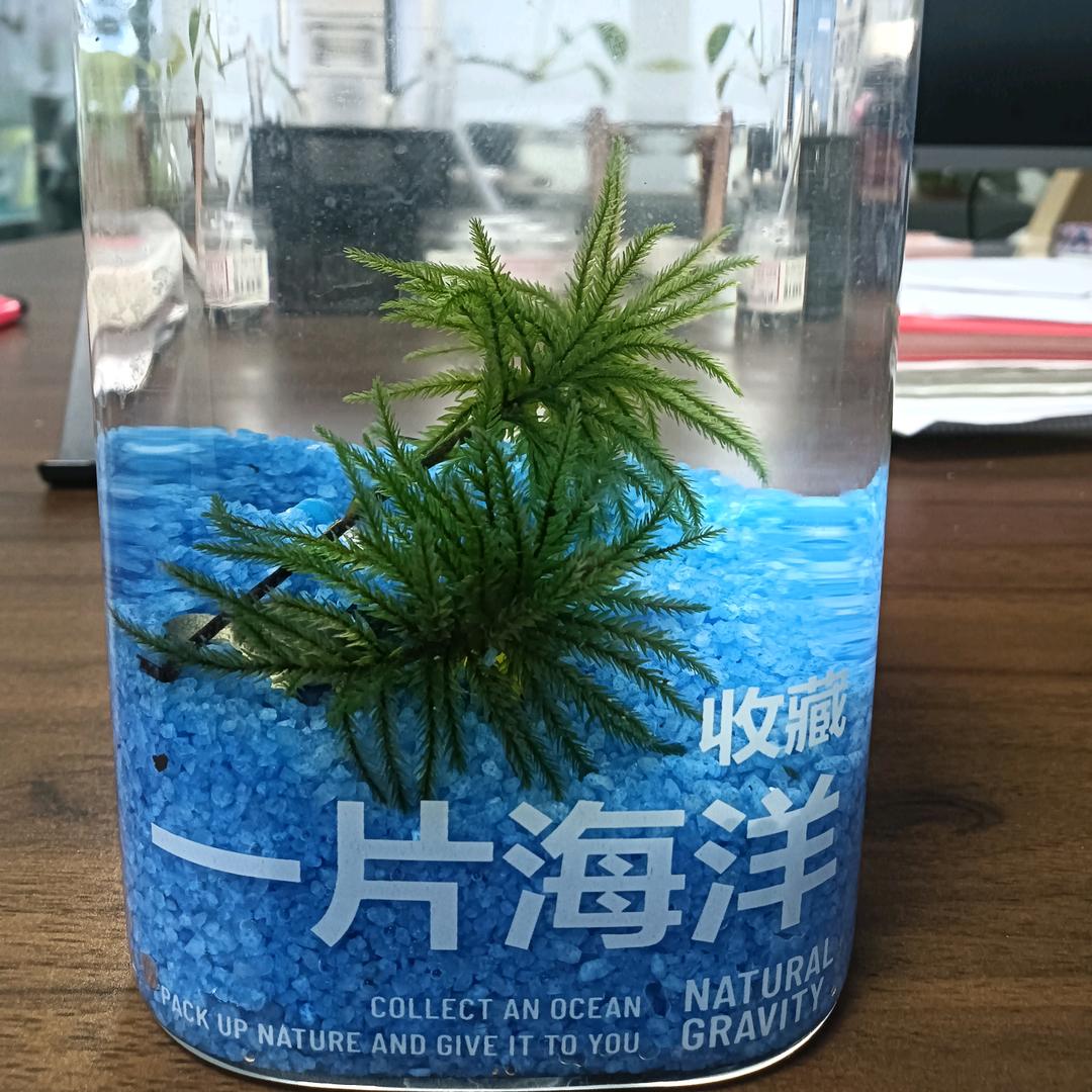 勤劳致富