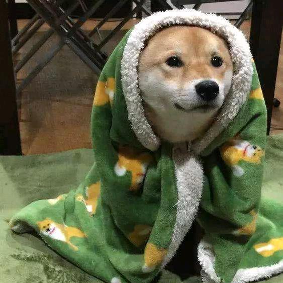 兔子先生吖