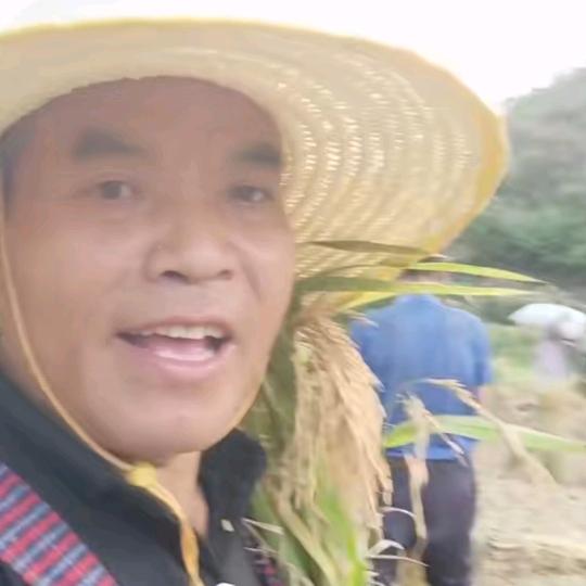 森林果OK
