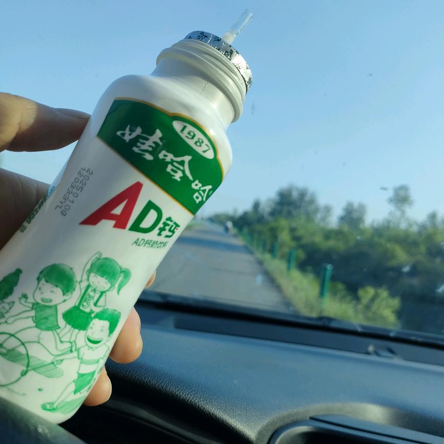 淘气包