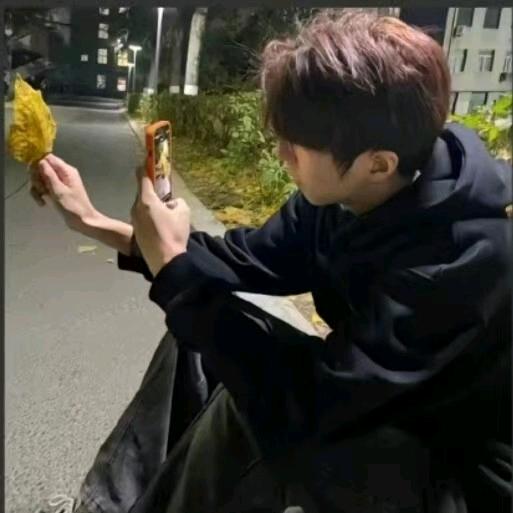 不爱吃香蕉的蕉太狼