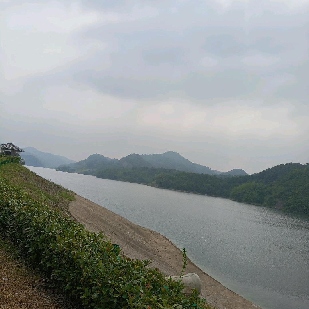名杨夏天