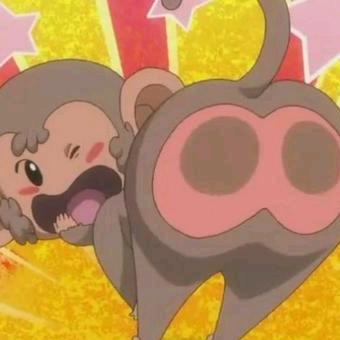 满山猴子我的腚最红