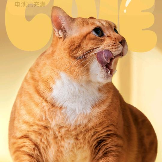 忘(๛ ˘ ³˘)۶♥川