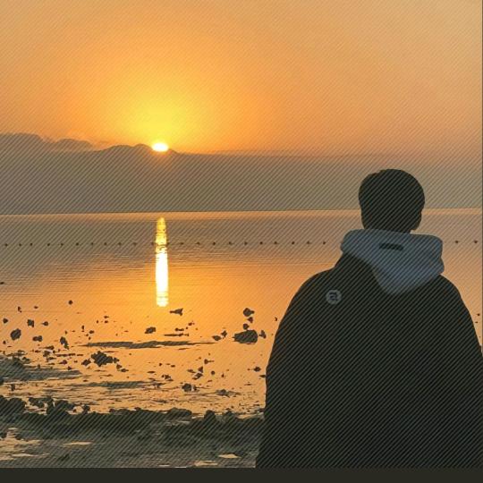 王仔牛奶