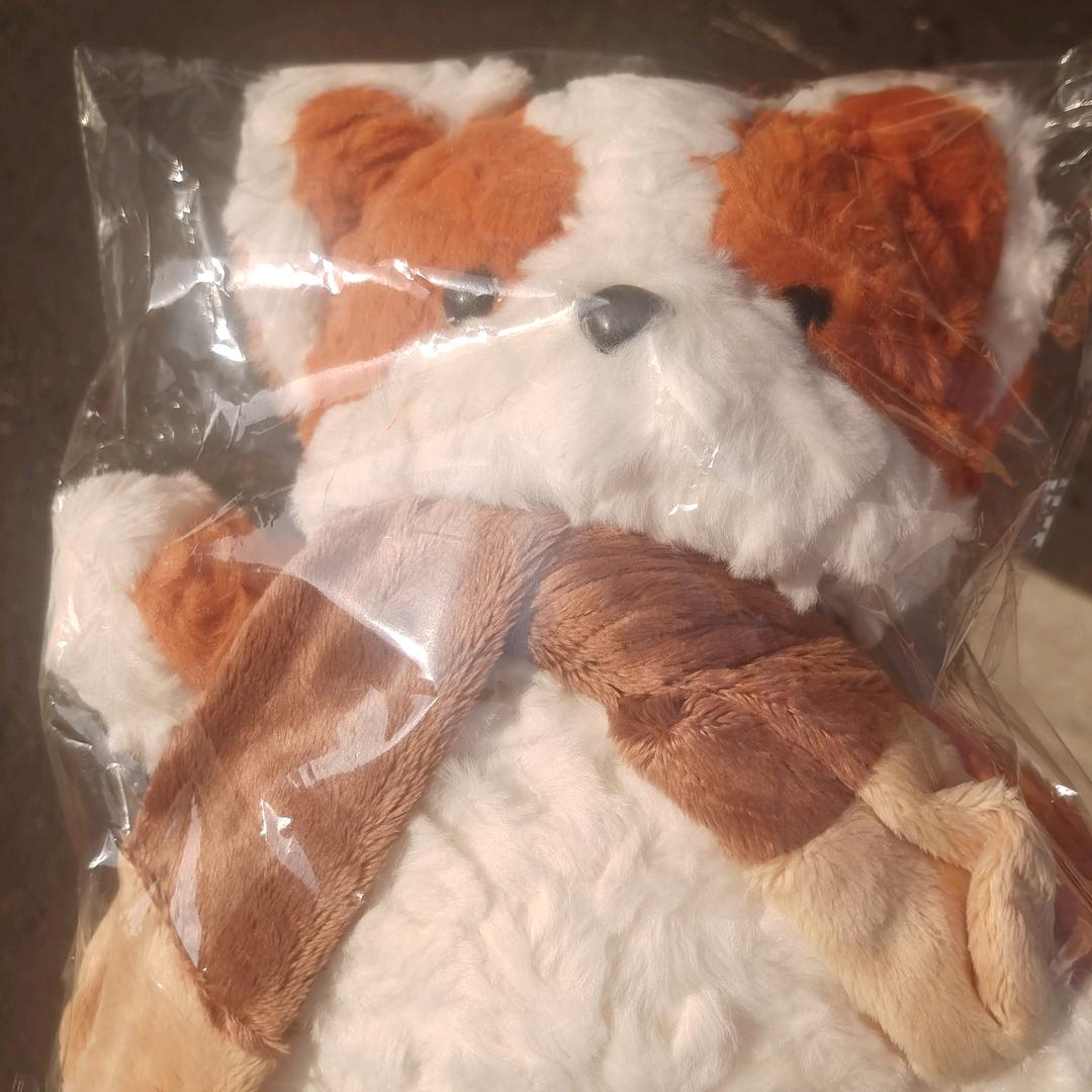 写给程小姐的不二情书
