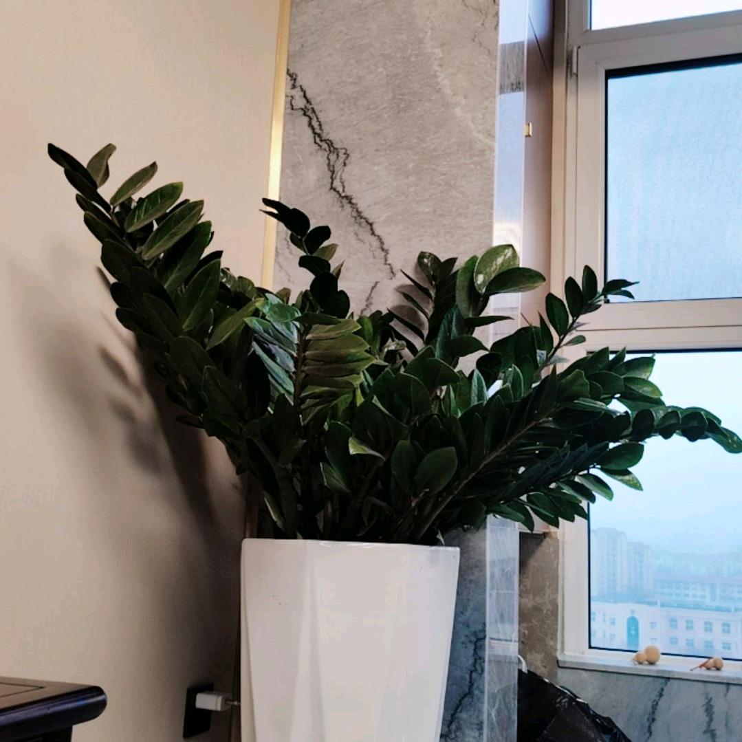 琳琳爱分享