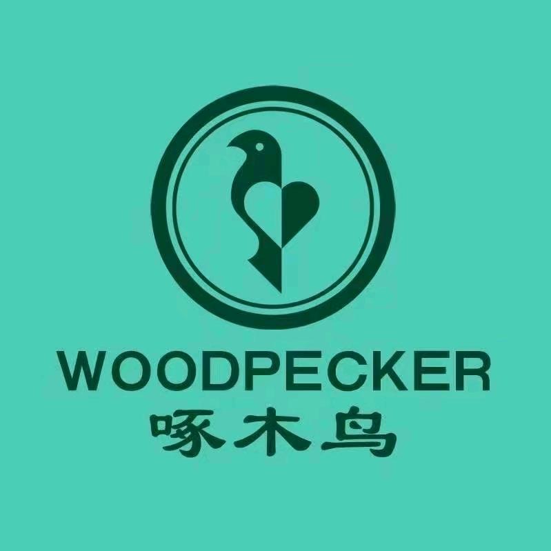 啄木鸟讪磐男鞋店