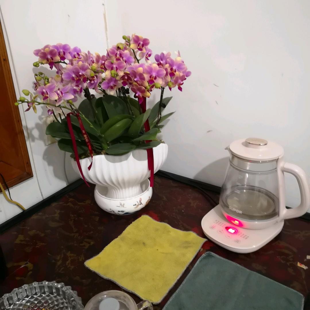 中庸