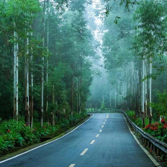 @任逍遥@咏樂的生活