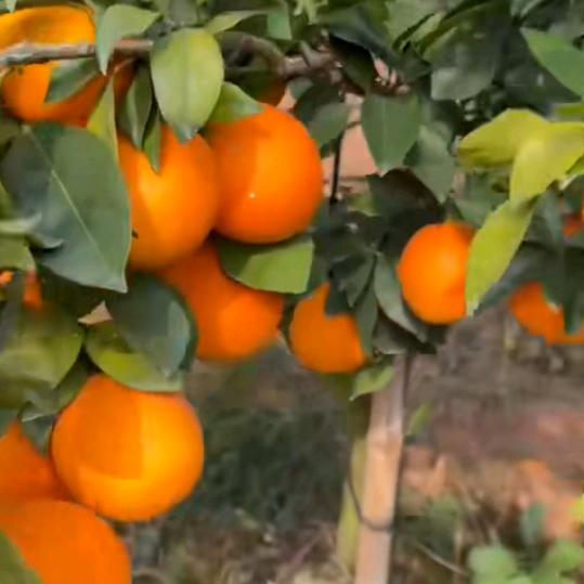 认识是一种缘份