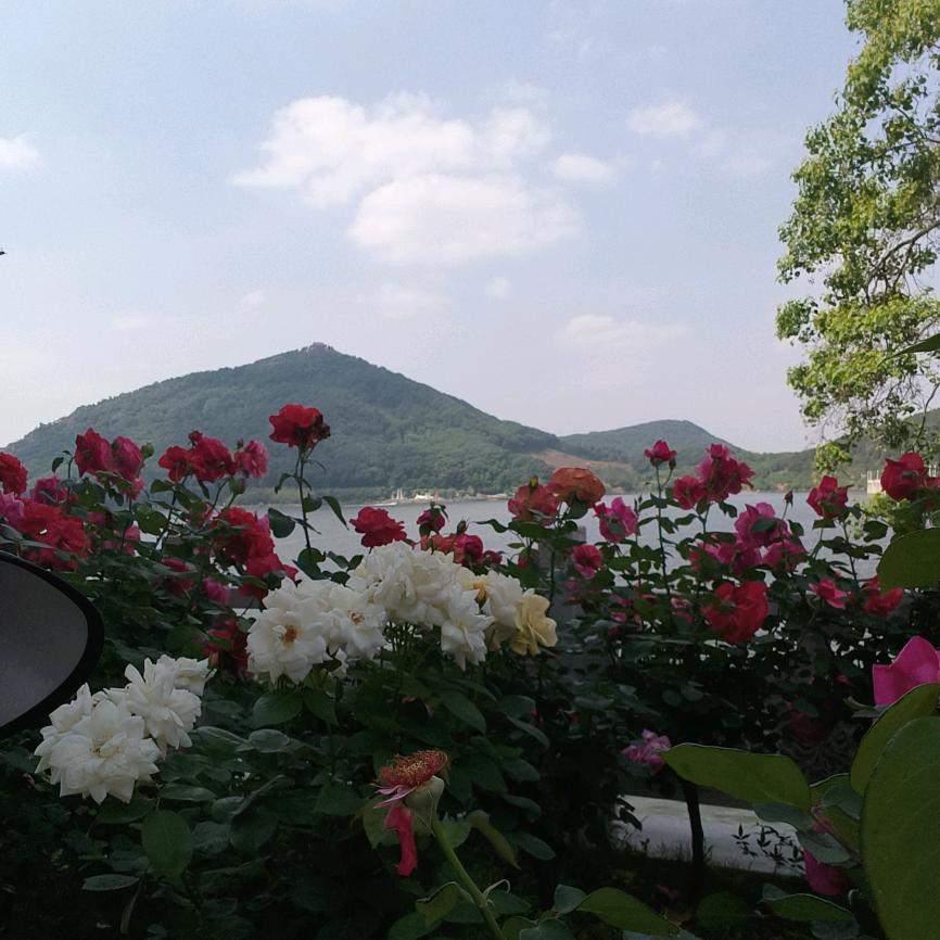 袁来一场梦
