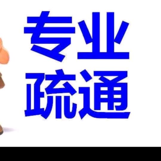 专业疏通管道（张）