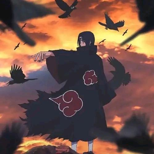 枫叶🍁🍁头像