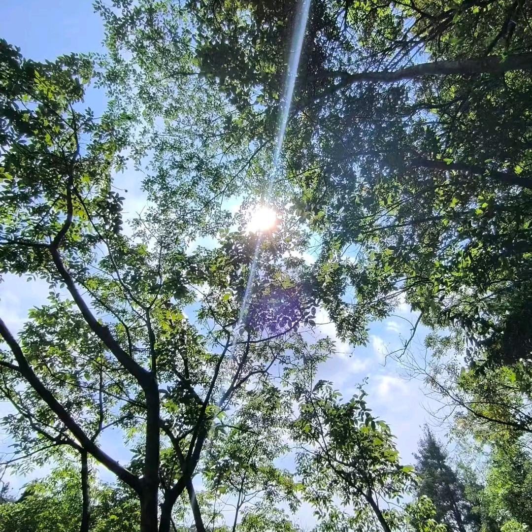 老黄讲种植