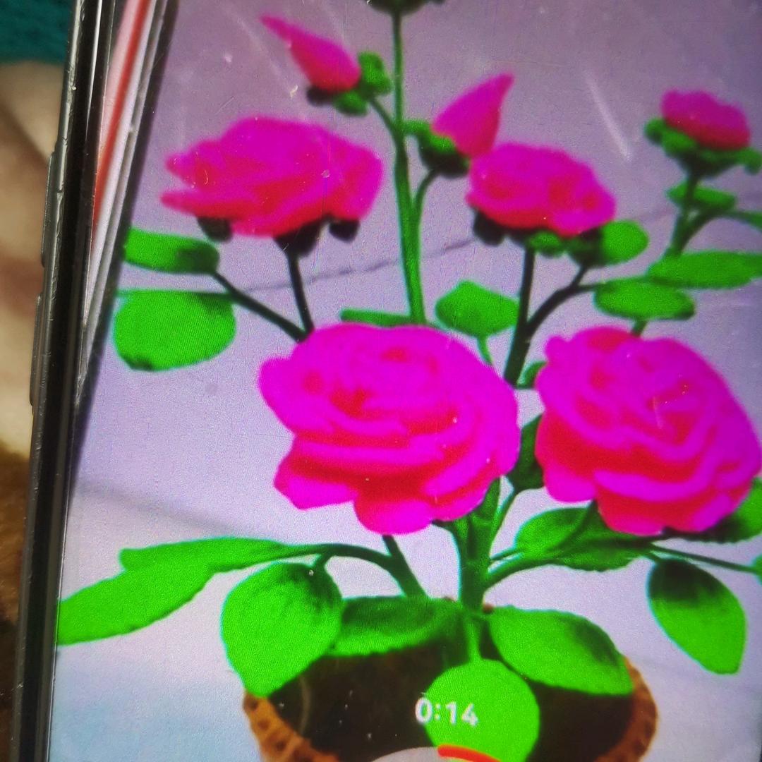 我快乐四天春天夏天秋天冬天，