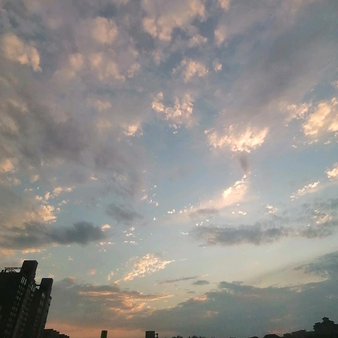 我要我的生活