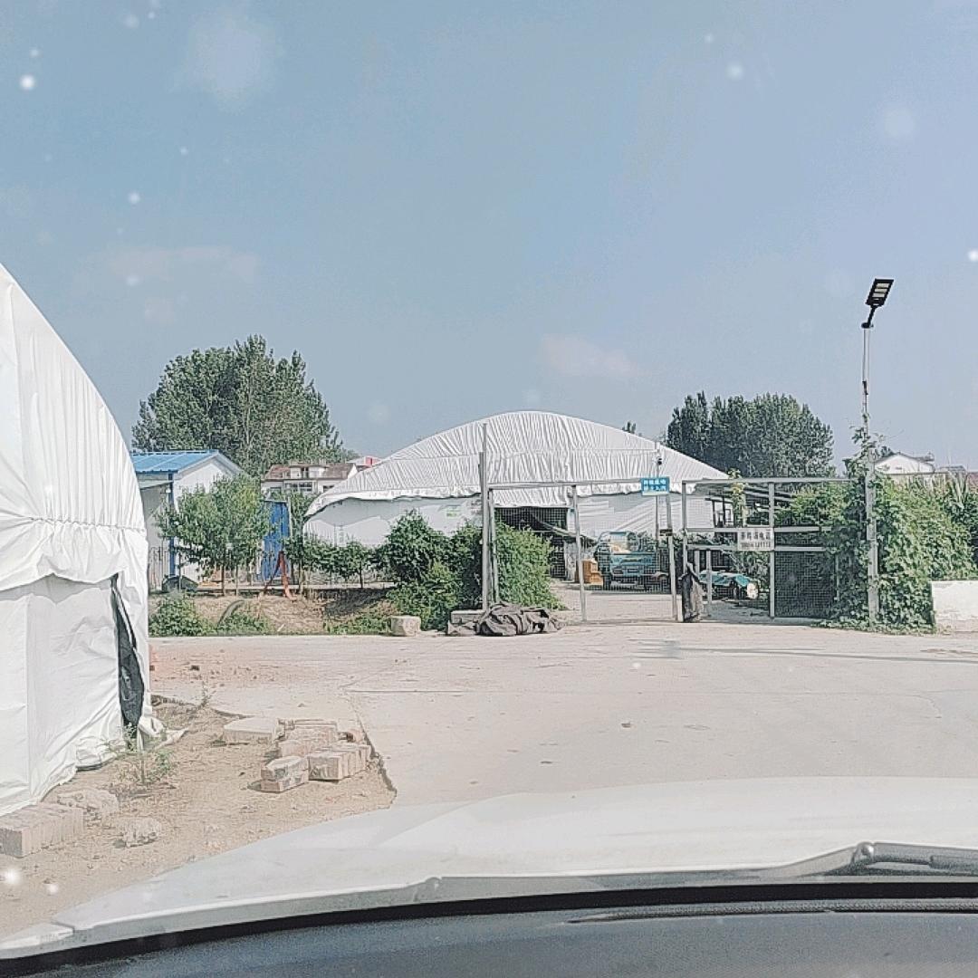 郭哥：(利辛东出口东北郭庄养鸡场)