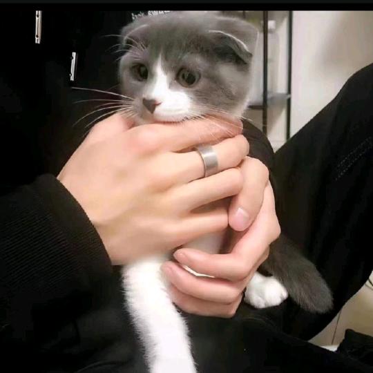 এꦿ꯭绝缘এ体ꫛ