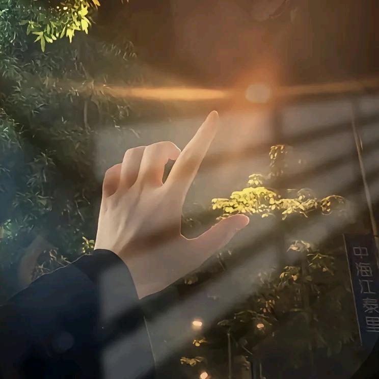 风月独舞