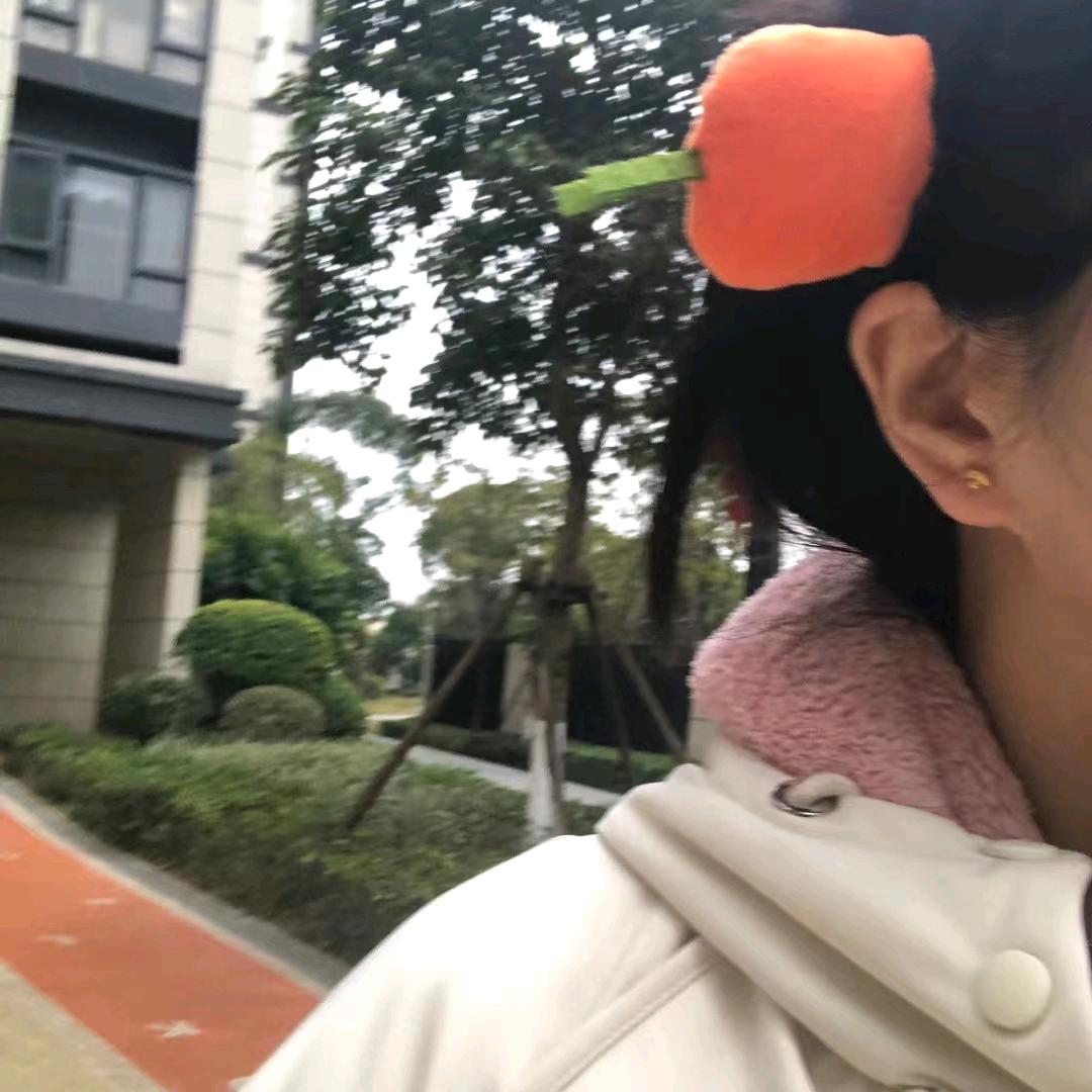 春甜树