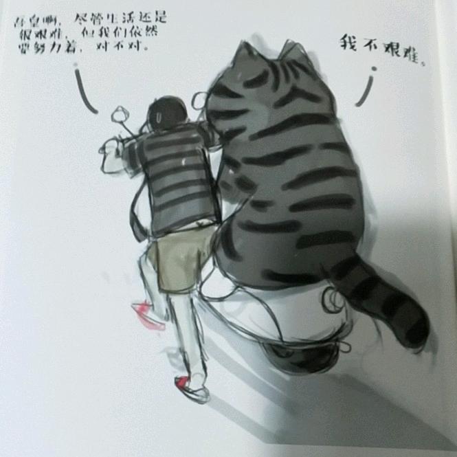 @君浩