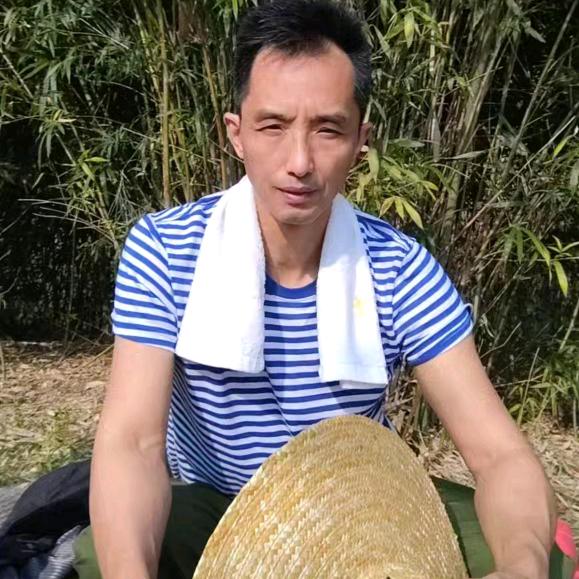 解说早 5：31停播中