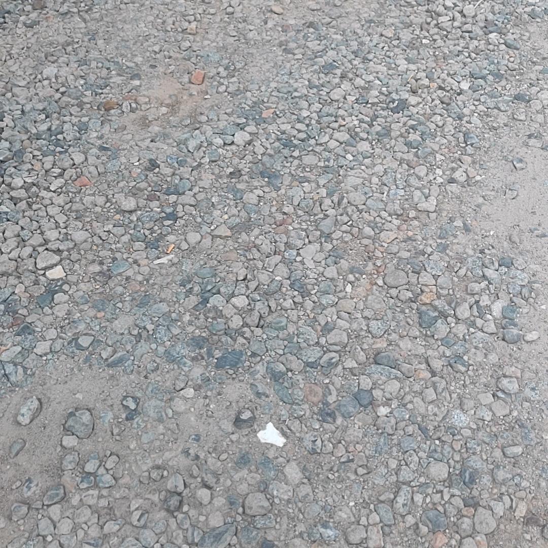 随遇