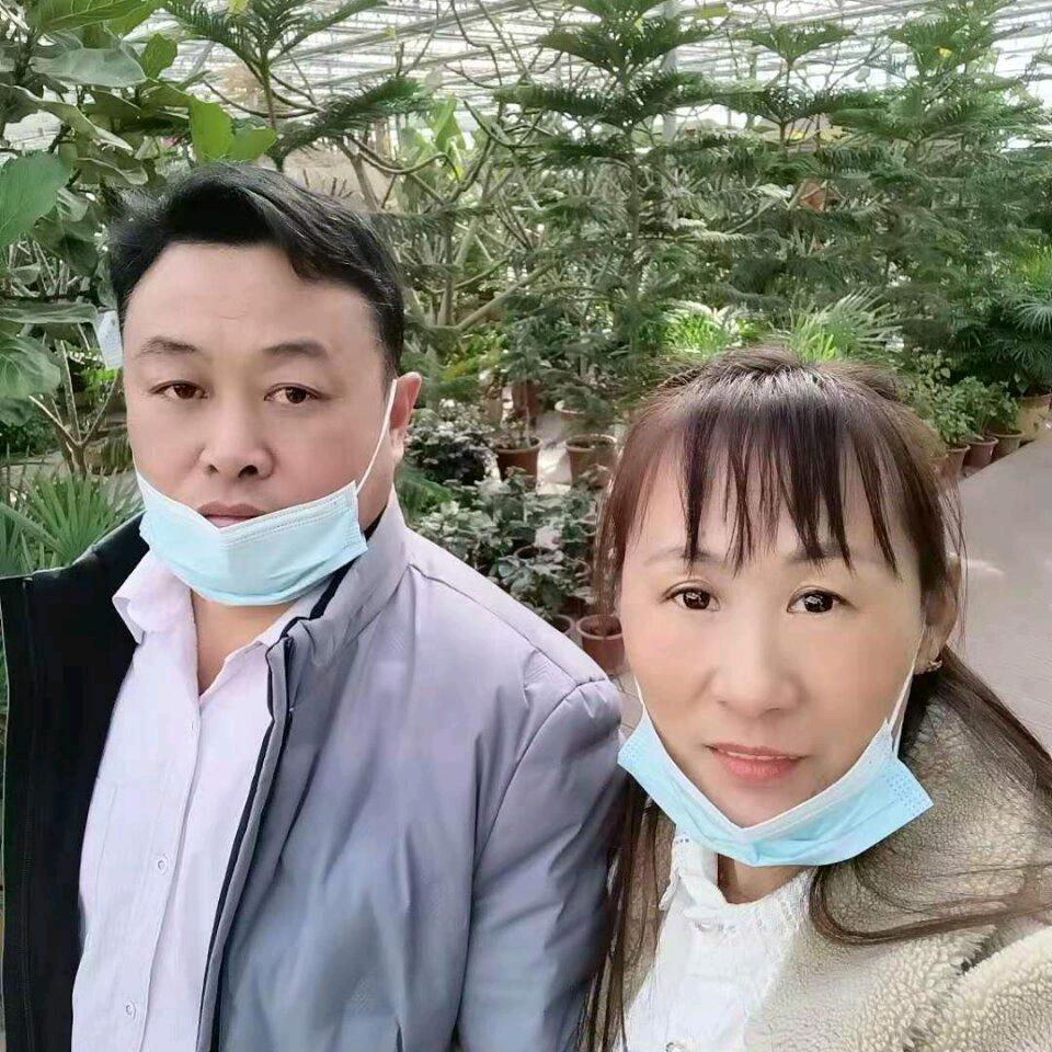 旧梦难寻
