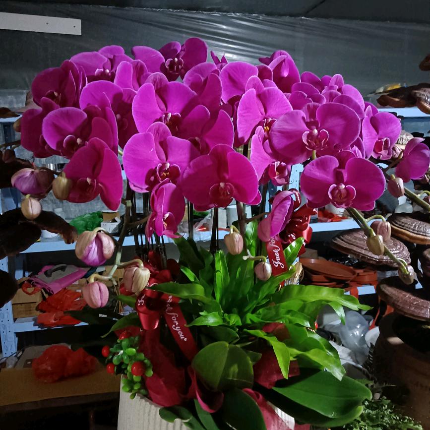 姐姐？拒绝私聊