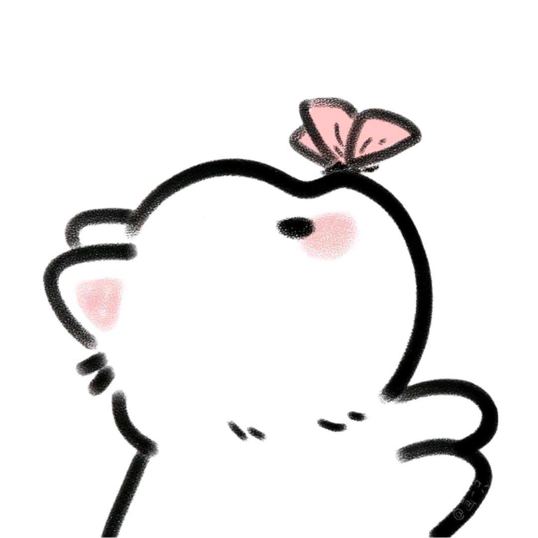 又新岁岁啦🩵🩷