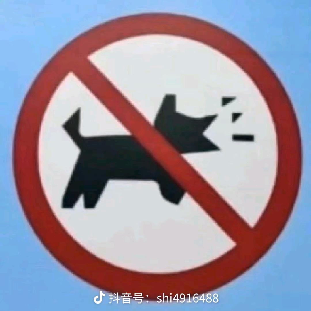魚魚魚魚魚