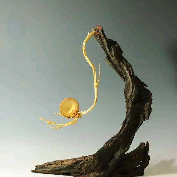 嫚冬蔓