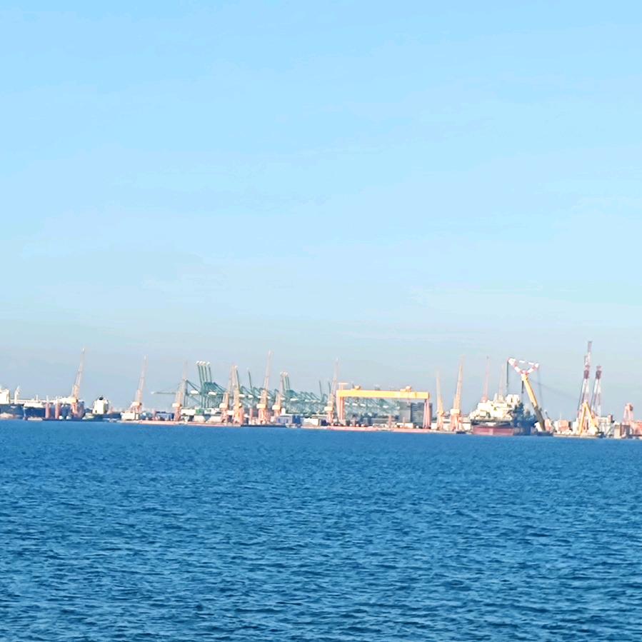 心向春光 油船