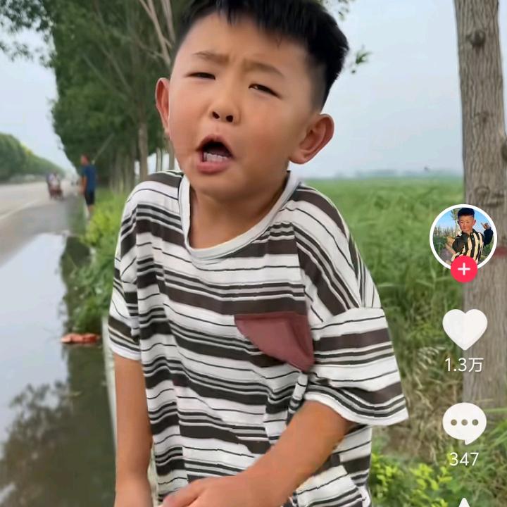 小龙龙