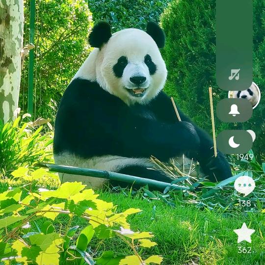 萍果乐园吃苹果