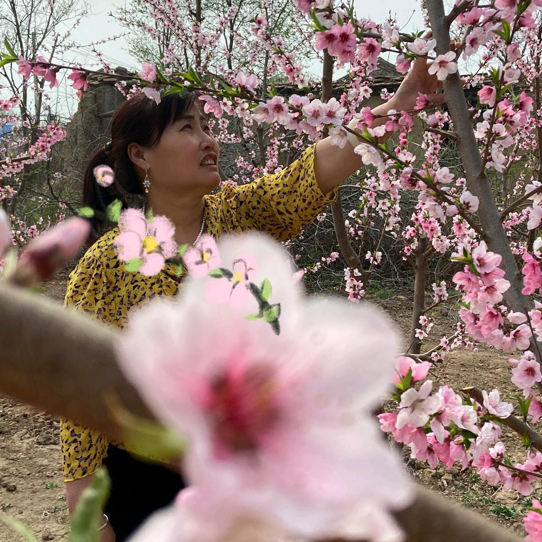 看淡一切，人生叫俺学会坚强