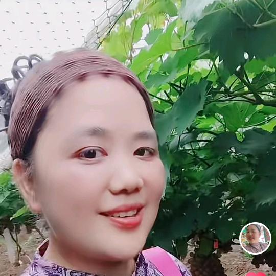 华姐姐（🎤🎤：♪♪）