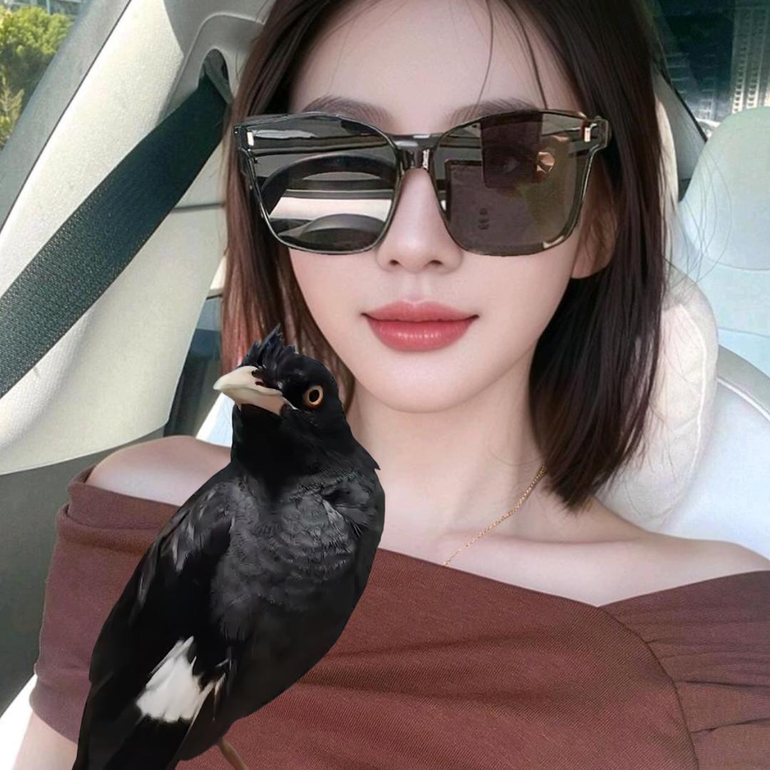 亿万顺霸鸟声🐦‍⬛