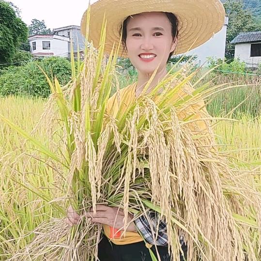 农村蒋姐