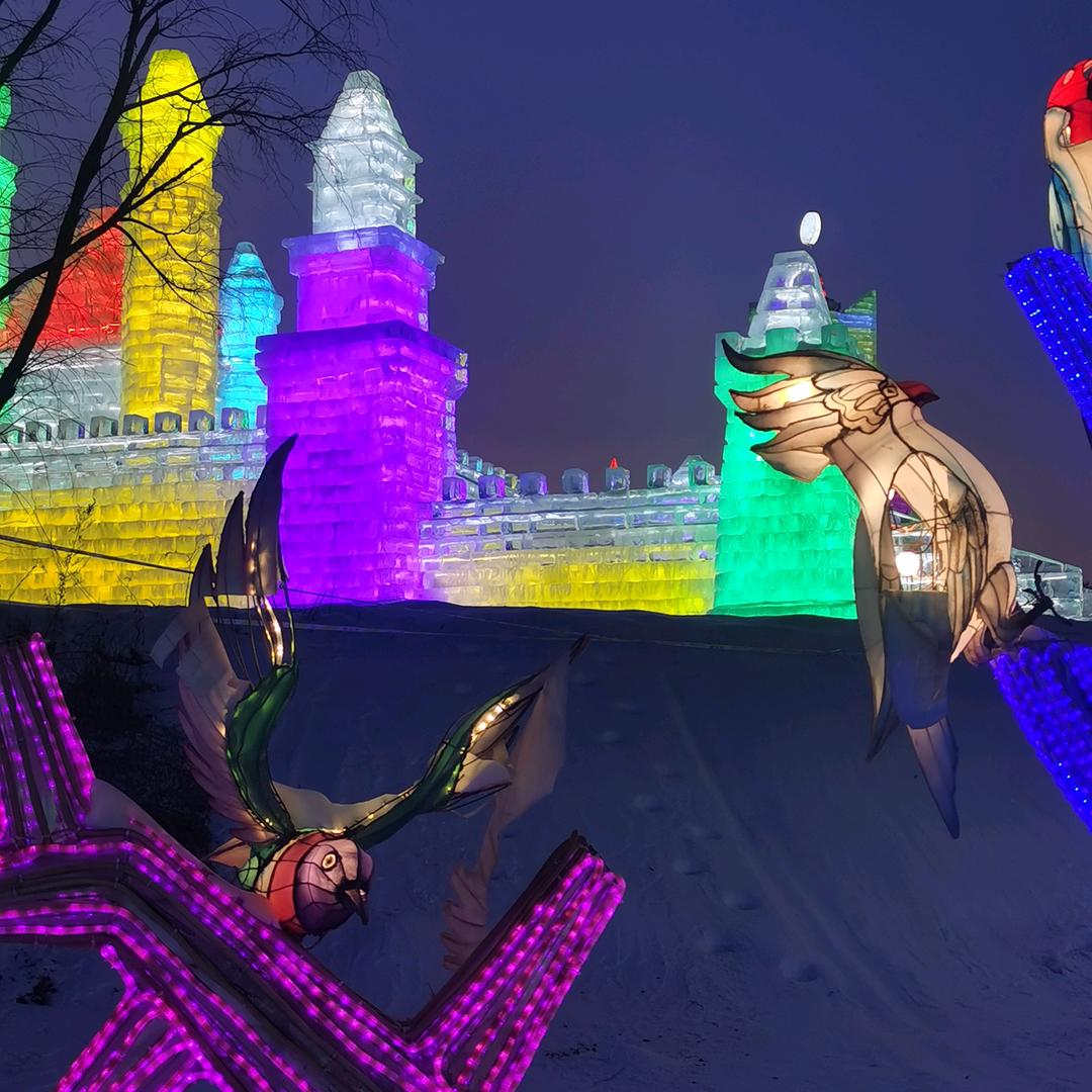 华乐烟酒行华乐（乐乐）直播号