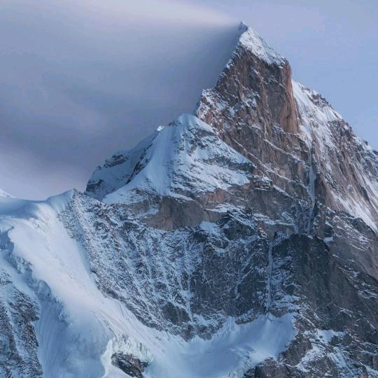 汇美生鲜供应链