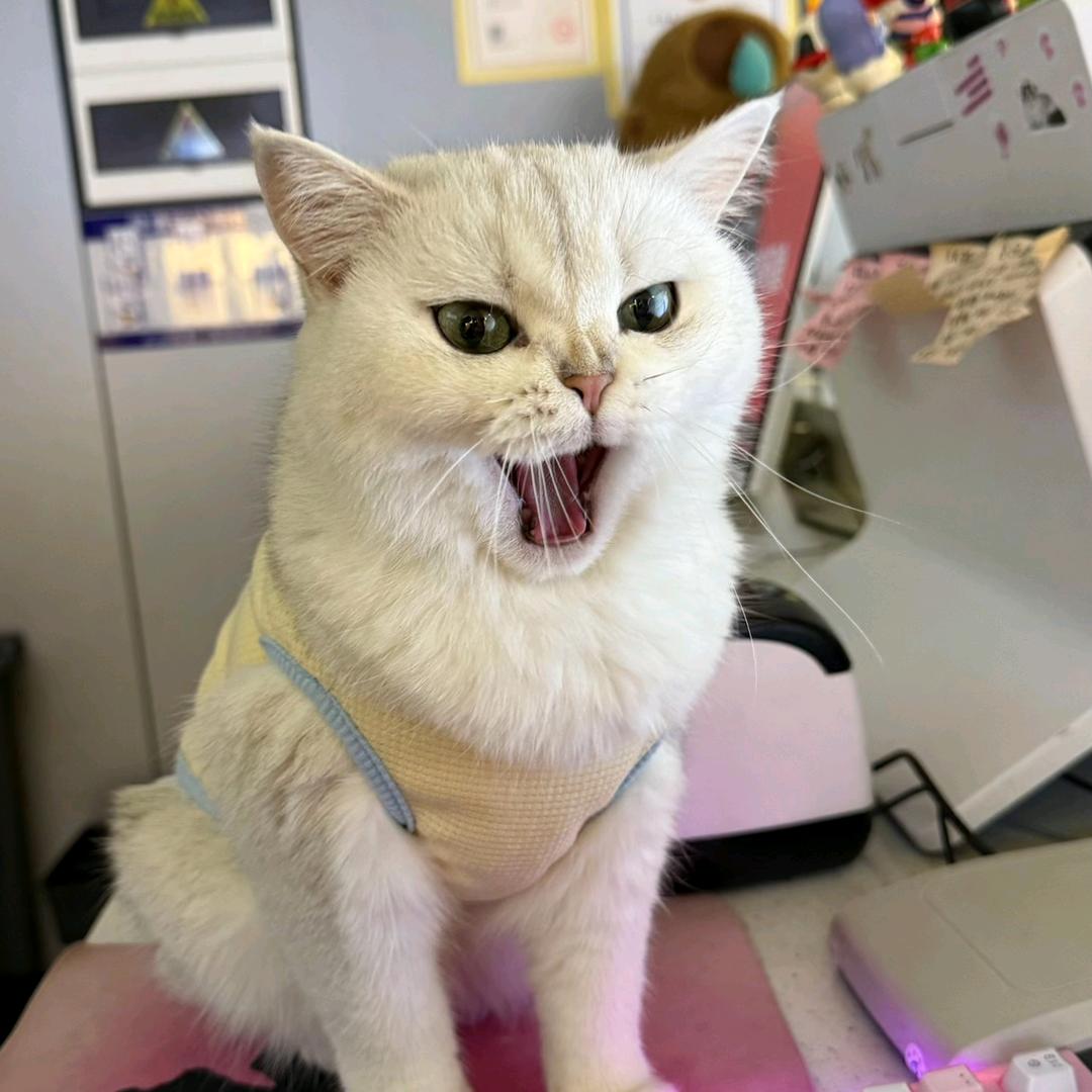 网鱼电竞（河西恒基）